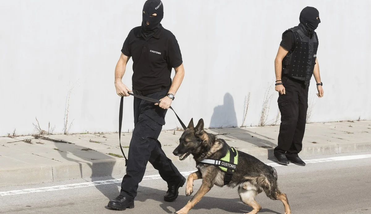 Two masked customs officers, one with a German Shepherd on a leash, patrol a city street, emphasizing security and enforcement measures.