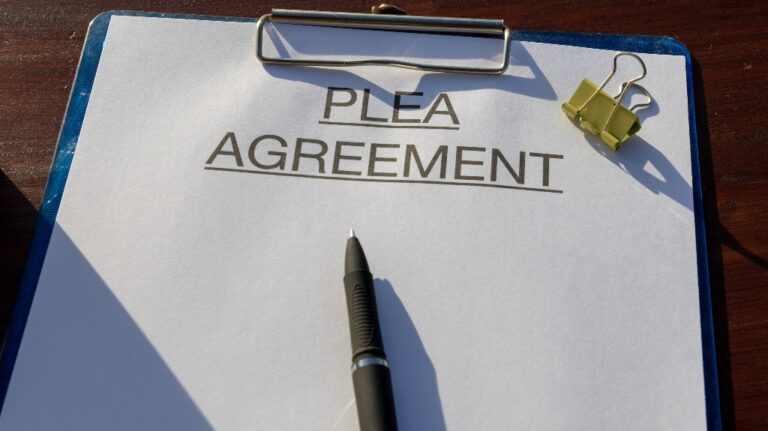 plea agreement and pen